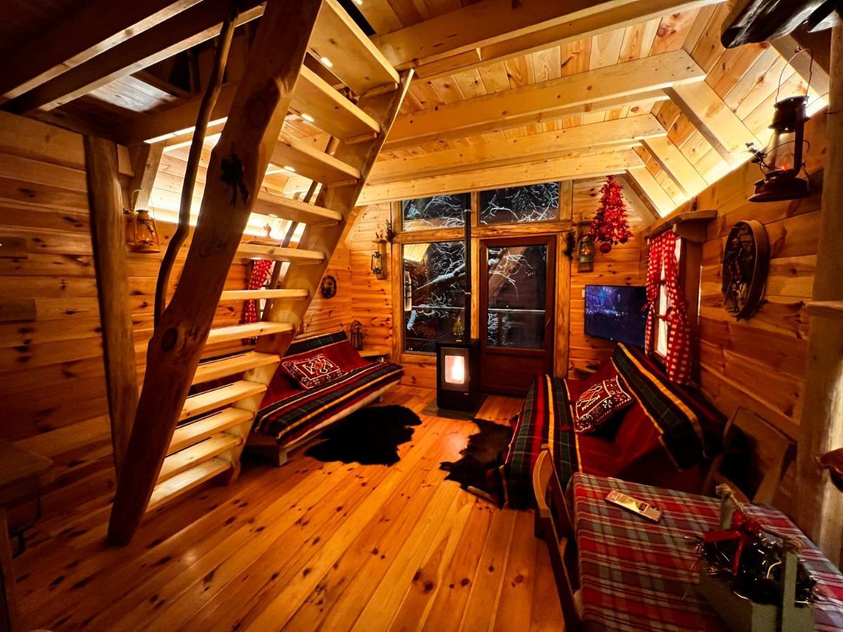 Tara Place - Camp Rabrenovic Mojkovac Dış mekan fotoğraf