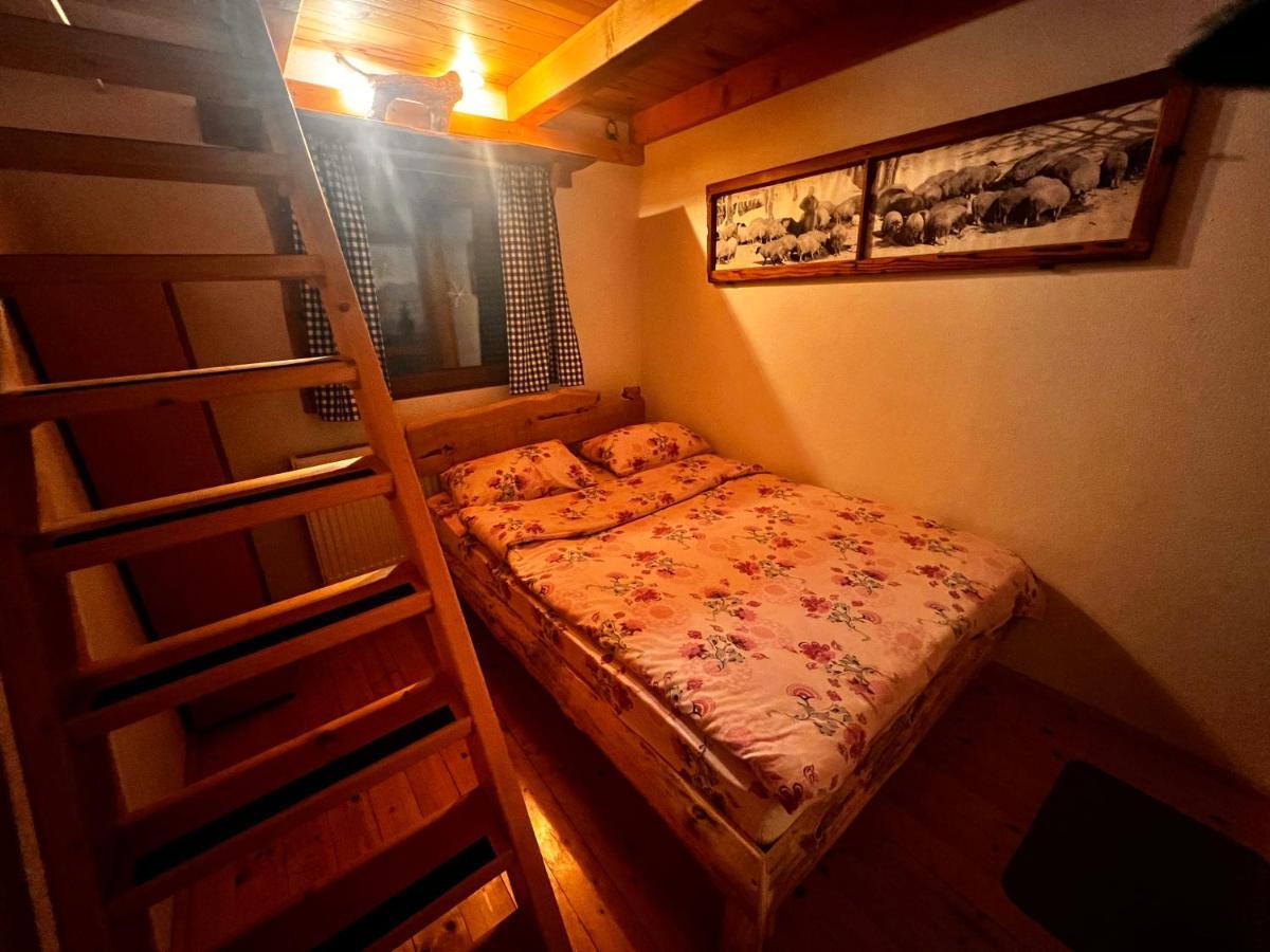 Tara Place - Camp Rabrenovic Mojkovac Dış mekan fotoğraf